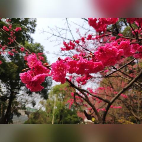 (王者荣耀游戏世界)王者荣耀-世界：探索开放世界战场，尽展英雄本色