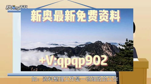 2024新奥资料大全正版资料|确保解答的绝对准确性_娱乐版ISHOP.2.46