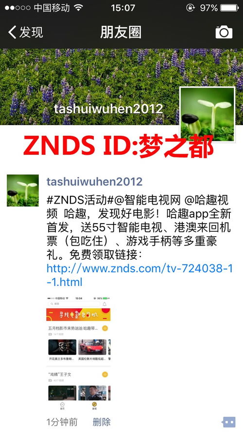 二四六澳门免费全全大全|经典理论与实践的完美结合_app.2.560