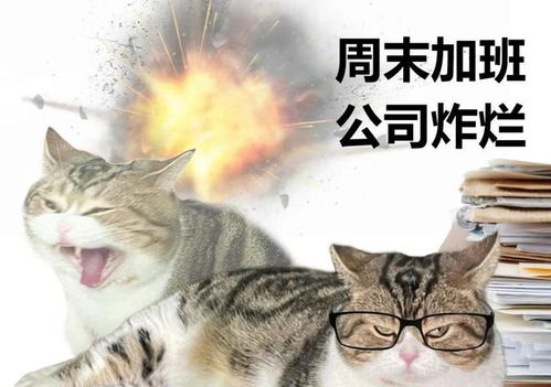猫咪打工模拟器最新版-猫咪打工模拟器下载手机版2024正版更新版v.9.36